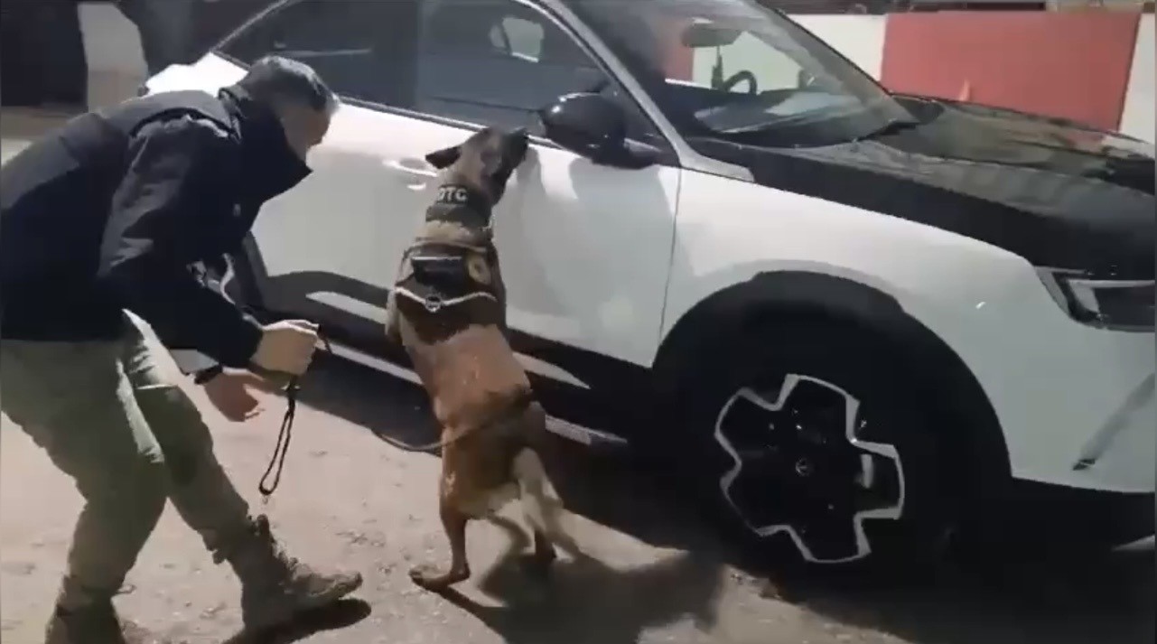 Ocak ayının en başarılı narkotik köpeği "Jardi" oldu
