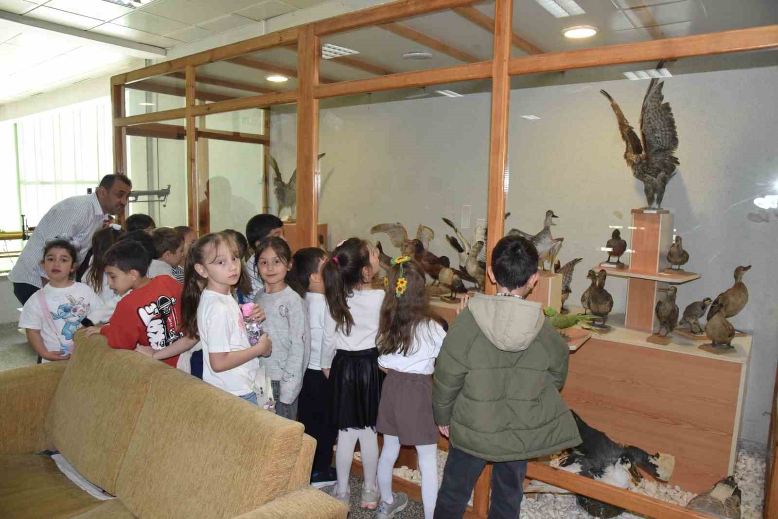 Öğrenciler dondurulmuş hayvan müzesini yakından inceledi
