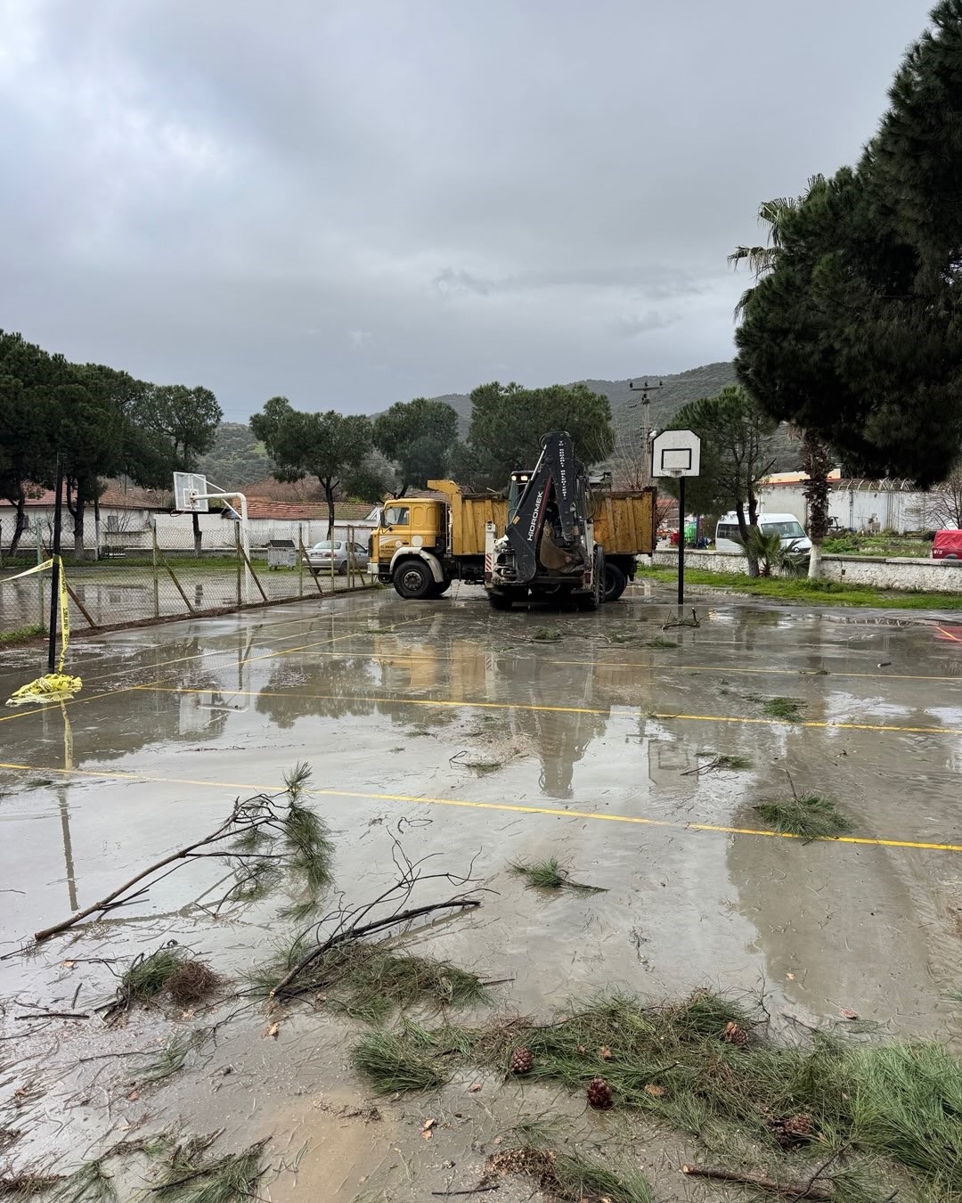 Okul bahçesindeki çam ağaçları kuvvetli rüzgara dayanamadı
