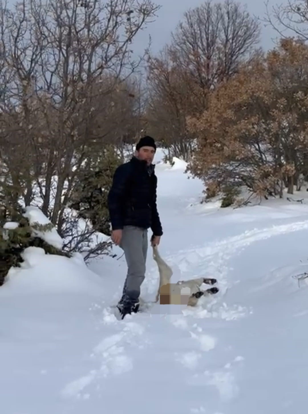 Öldürülen köpeğine otopsi yaptırdı, sorumluların bulunmasını istiyor
