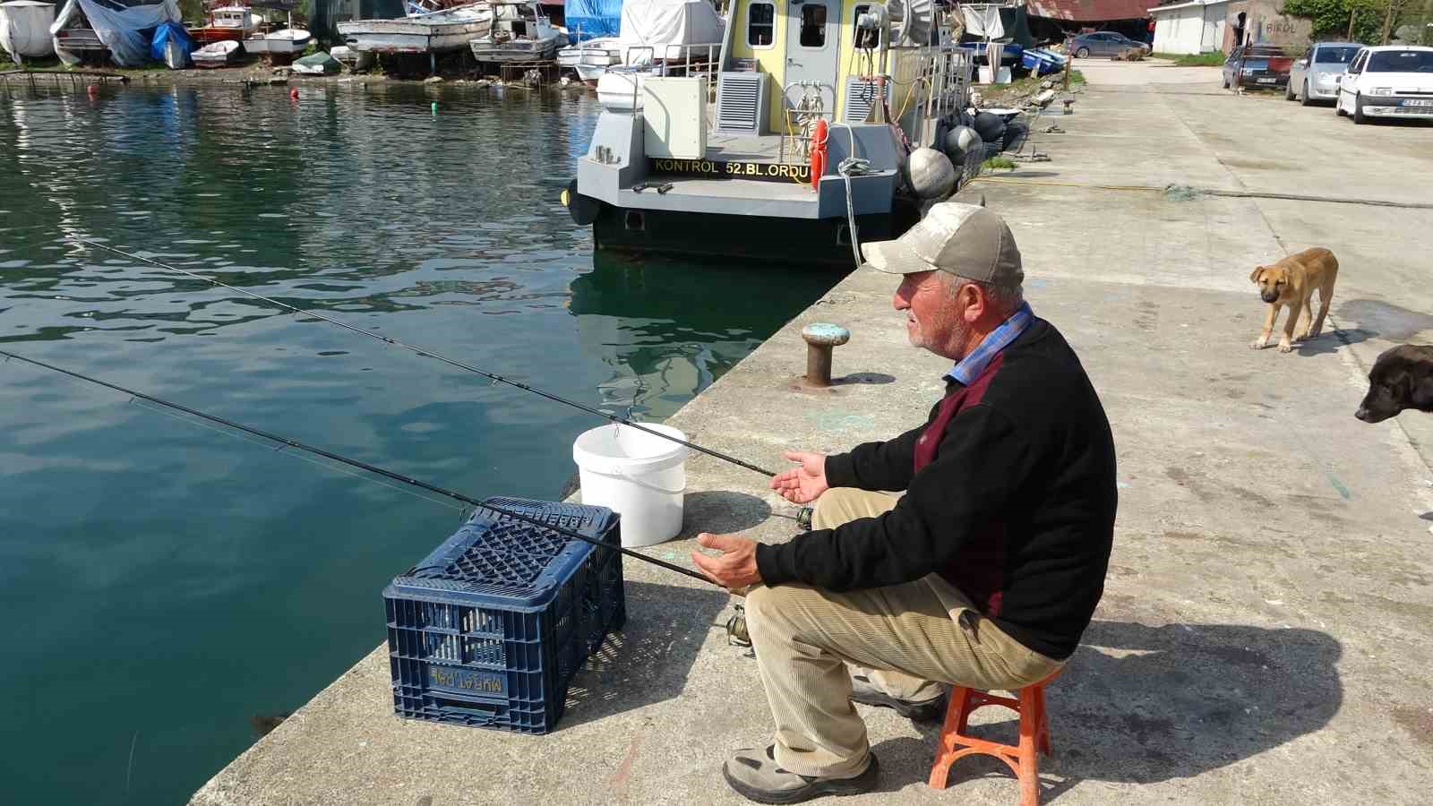 Olta tutkunu vatandaştan sokak köpeklerine şefkat
