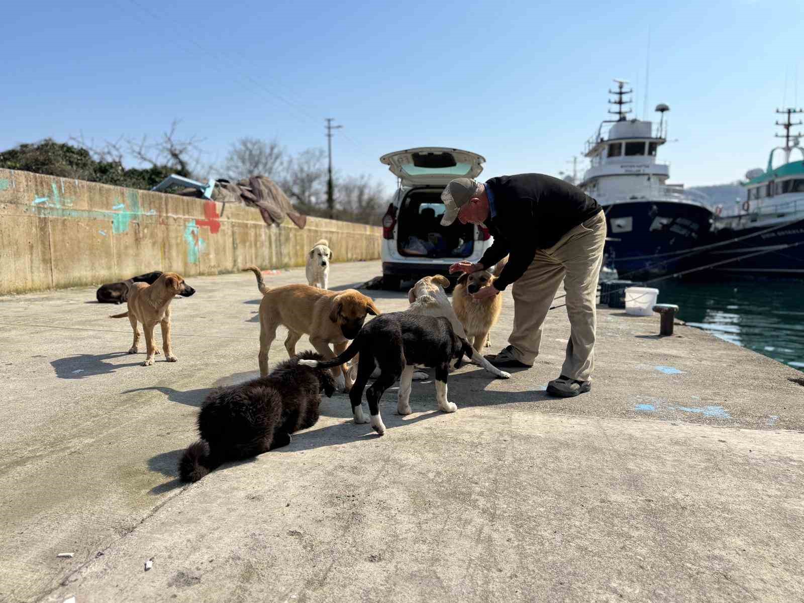 Olta tutkunu vatandaştan sokak köpeklerine şefkat
