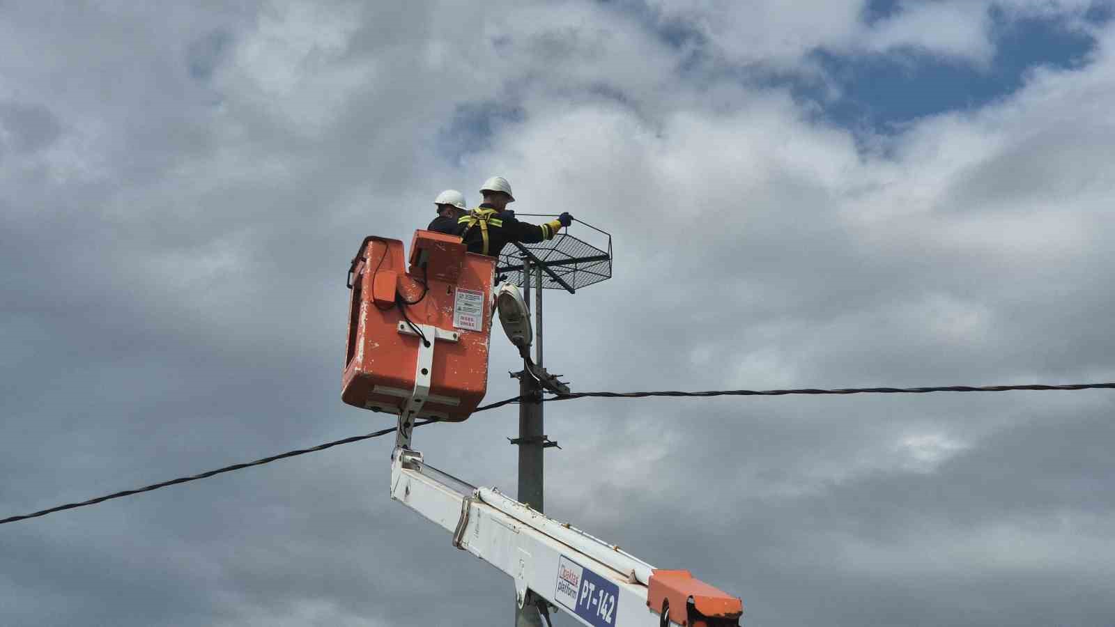 Ölüm hattıydı, yuvalara dönüştü: Bini aştı

