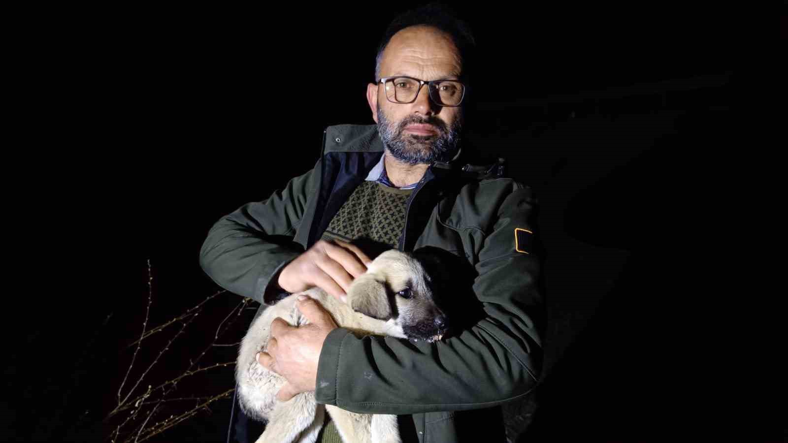 Ölüme terk edilmiş köpek yavrularına sahip çıktı
