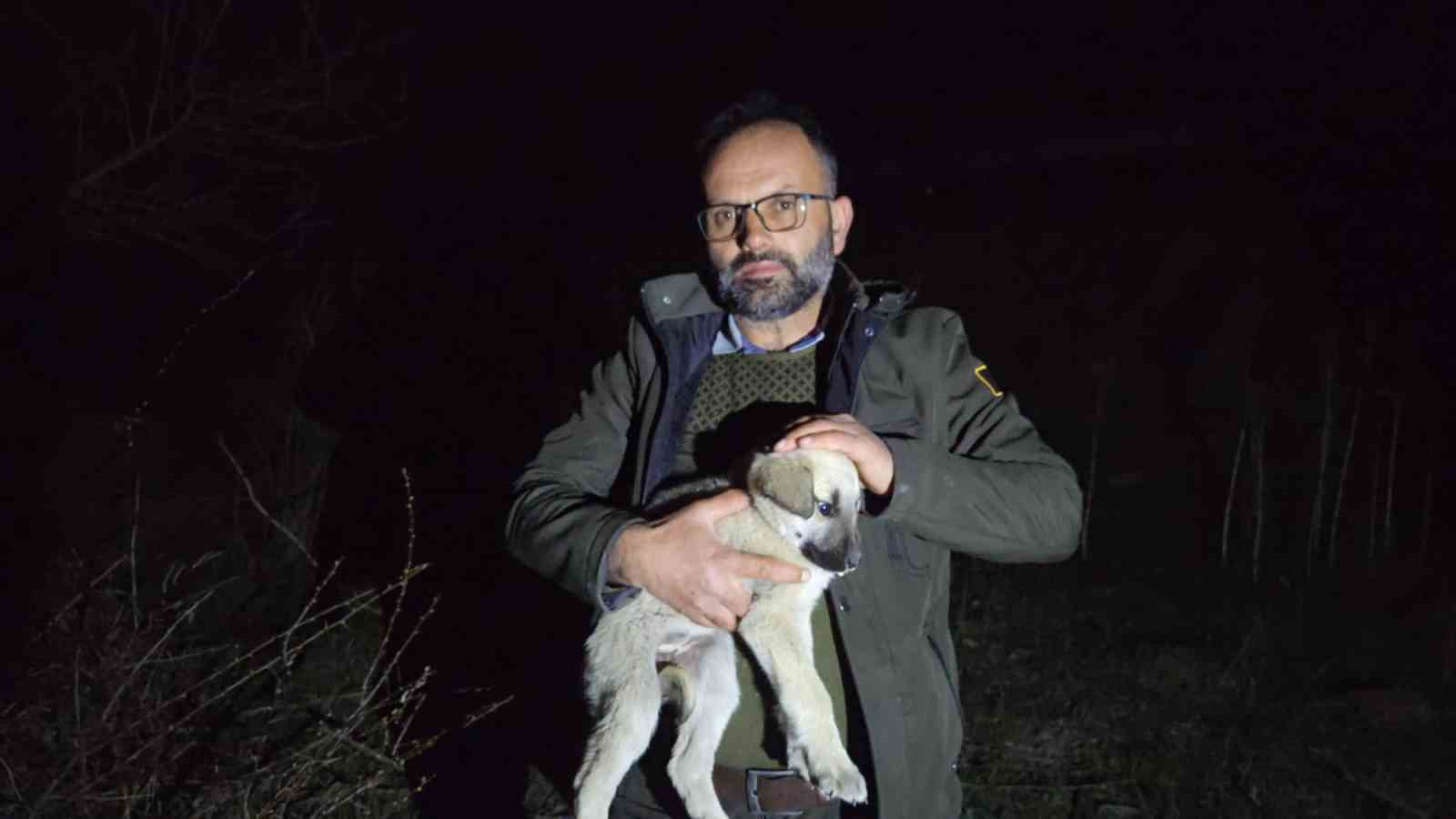 Ölüme terk edilmiş köpek yavrularına sahip çıktı
