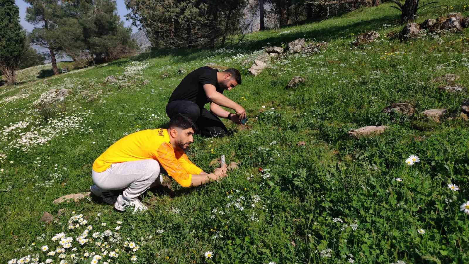 Ömrü 10 gün, koparmanın cezası araba parası
