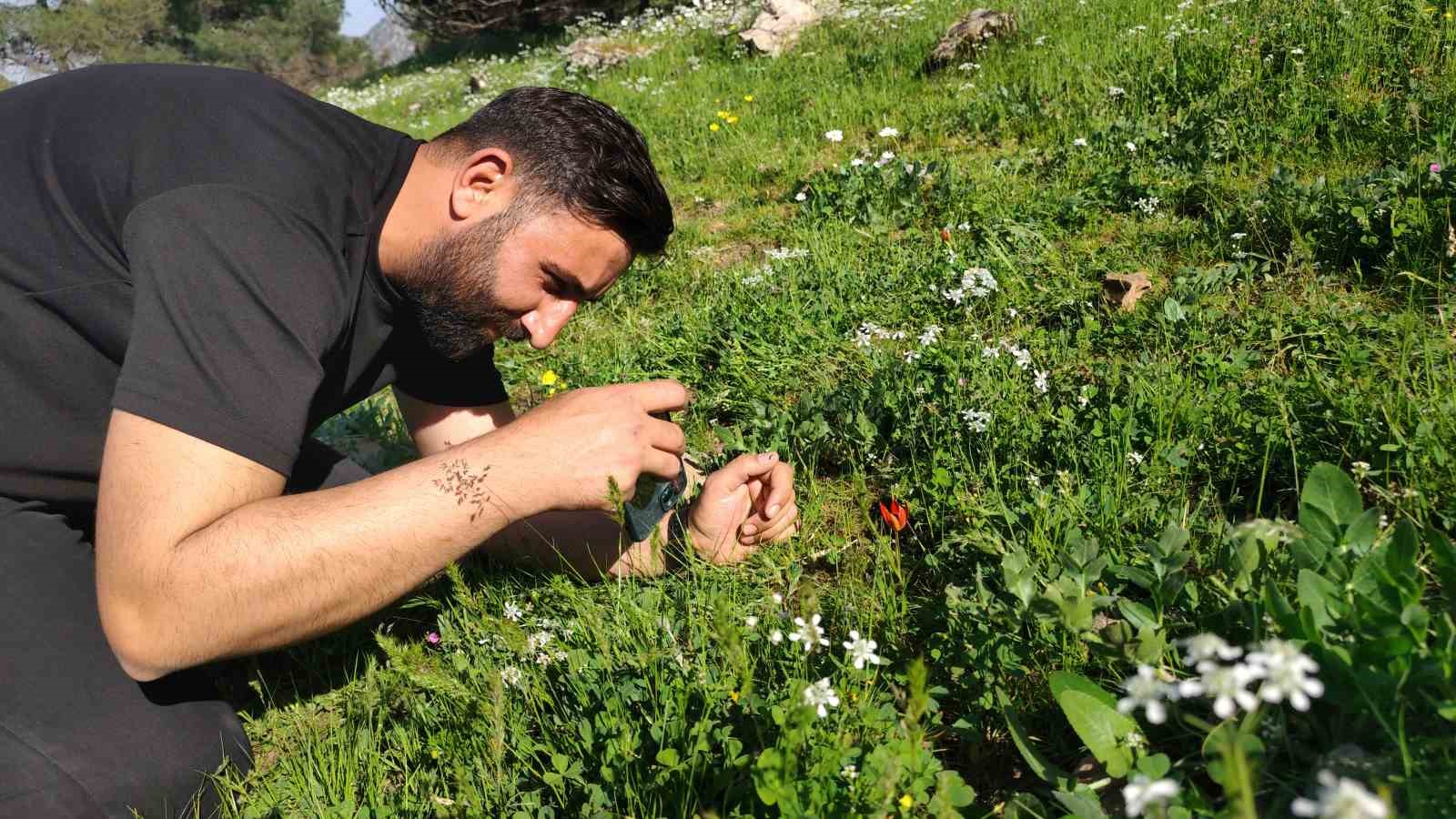 Ömrü 10 gün, koparmanın cezası araba parası
