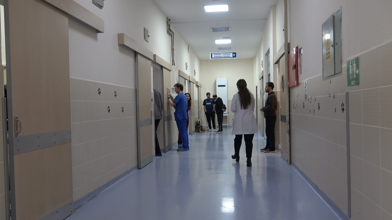 OMÜ Hayvan Hastanesi 2025’te 30 binden fazla vakaya müdahale etti
