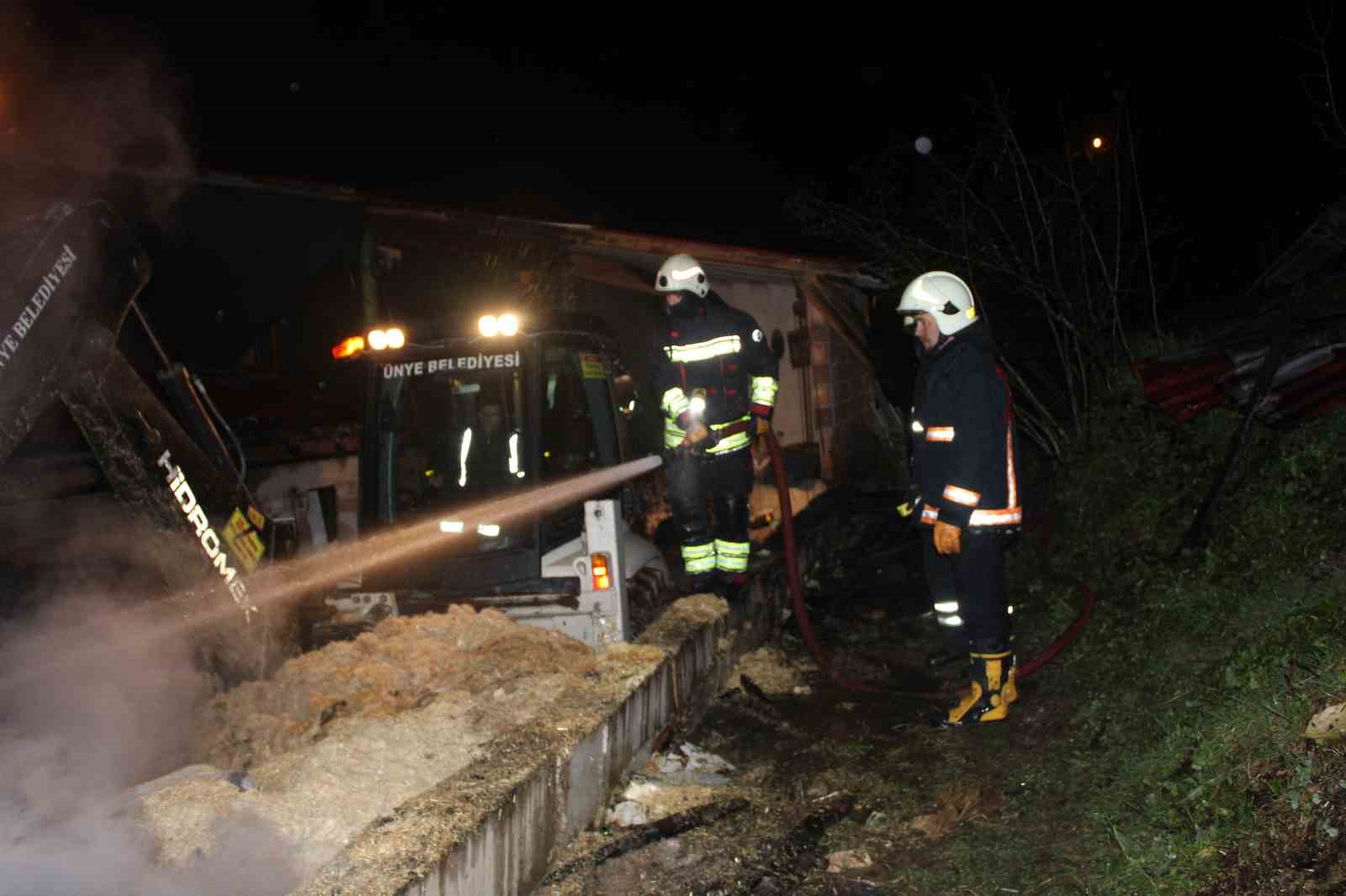 Ordu’da ahır yangını: 27 büyükbaş hayvan telef oldu
