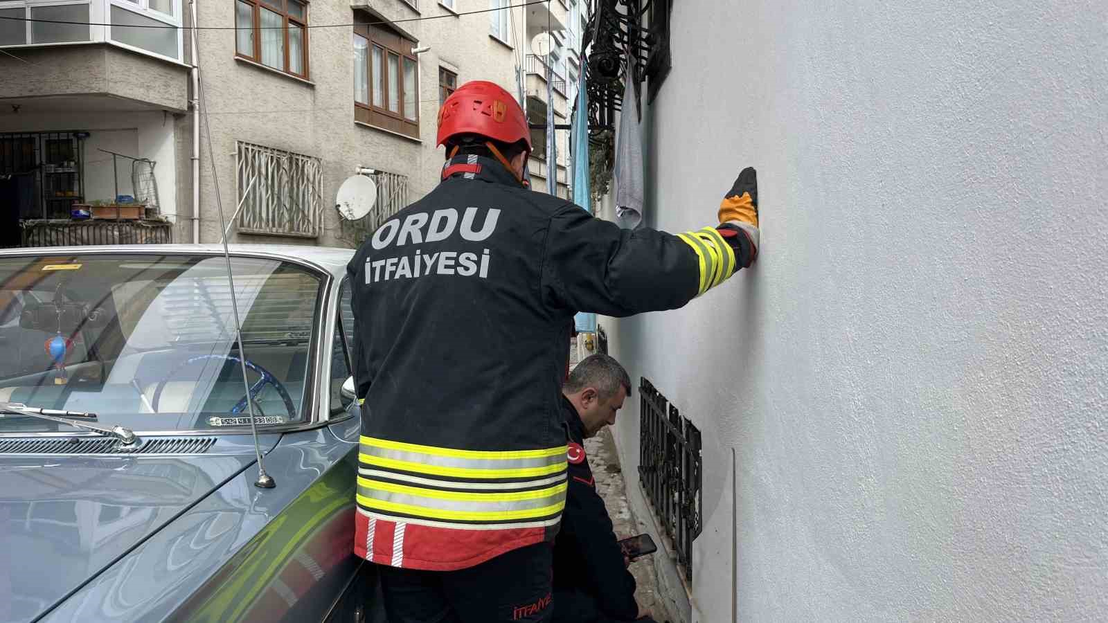 Ordu’da bodrum kattaki kedi sesi ekipleri harekete geçirdi
