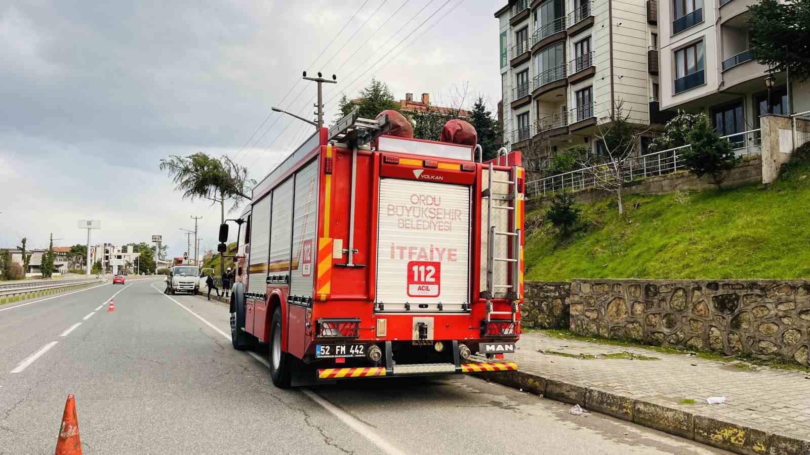 Ordu’da çam ağacı yüksek gerilim hattına devrildi
