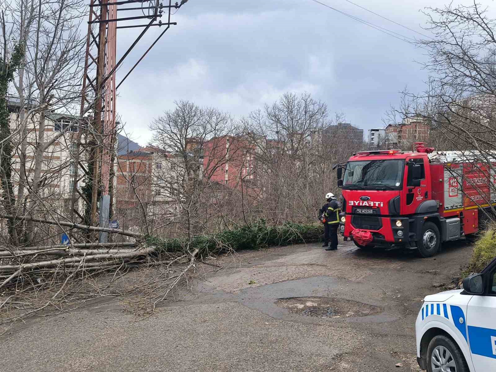 Ordu’da fırtına nedeniyle çatı uçtu, ağaç devrildi
