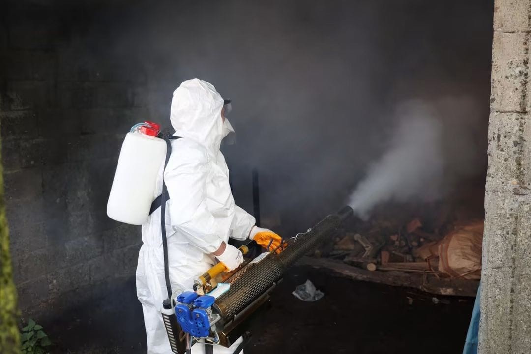 Ordu’da kahverengi kokarcaya karşı 300 binden fazla kışlak ilaçlanıyor
Ordu’da kahverengi kokarcaya karşı 300 binden fazla kışlak ilaçlanıyor