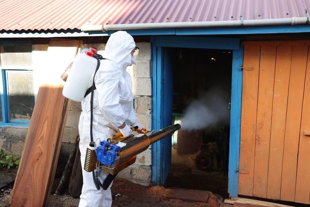 Ordu’da kahverengi kokarcaya karşı 300 binden fazla kışlak ilaçlanıyor
Ordu’da kahverengi kokarcaya karşı 300 binden fazla kışlak ilaçlanıyor