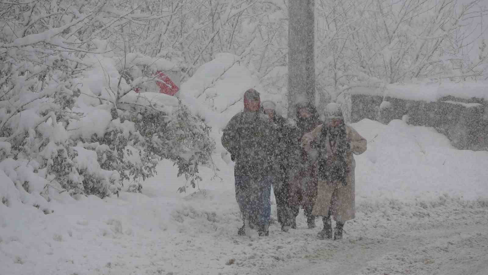 Ordu’da yeni yılın ilk kar yağışı etkili oldu
