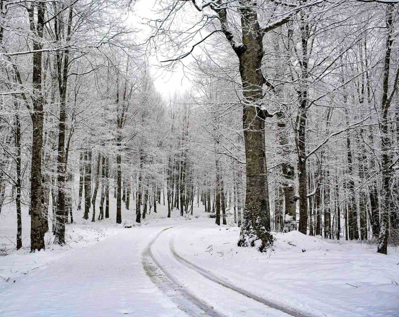 Ordu’nun 15 ilçesinde eğitime kar engeli
