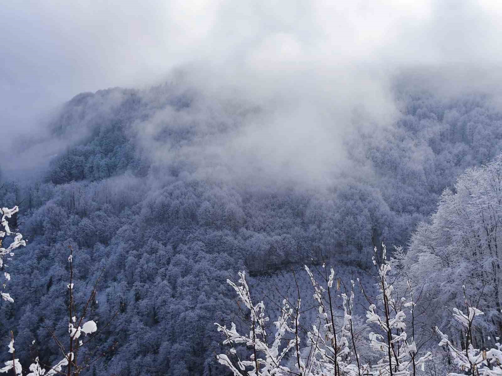 Ordu’nun yüksek kesimlerinde kar manzarası
