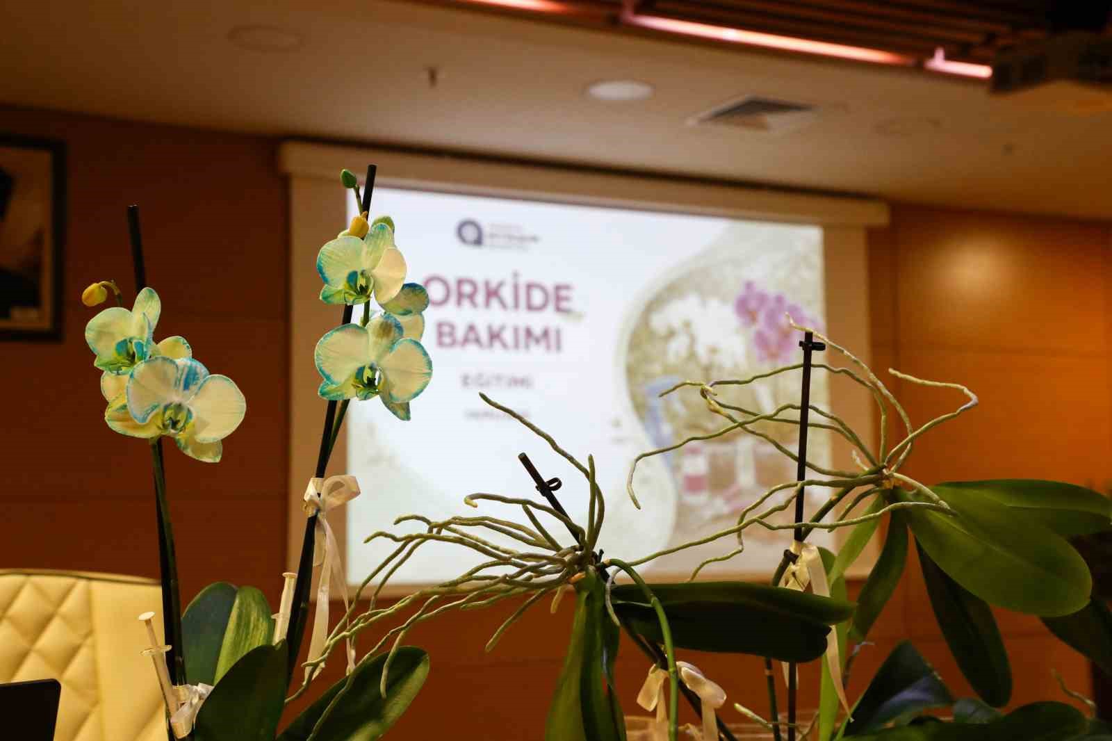 Orkide bakımı uygulamalı olarak anlatıldı
Orkide bakımı uygulamalı olarak anlatıldı