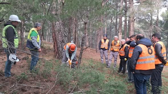Orman işçileri Kazdağları’nda sınav için ter döktü
