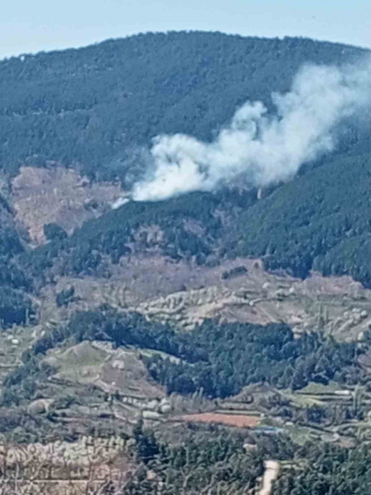 Orman yangını kontrol altına alındı
