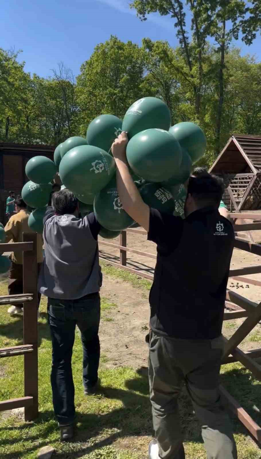 Ormanya’da doğan yavru deve için renkli kutlama
