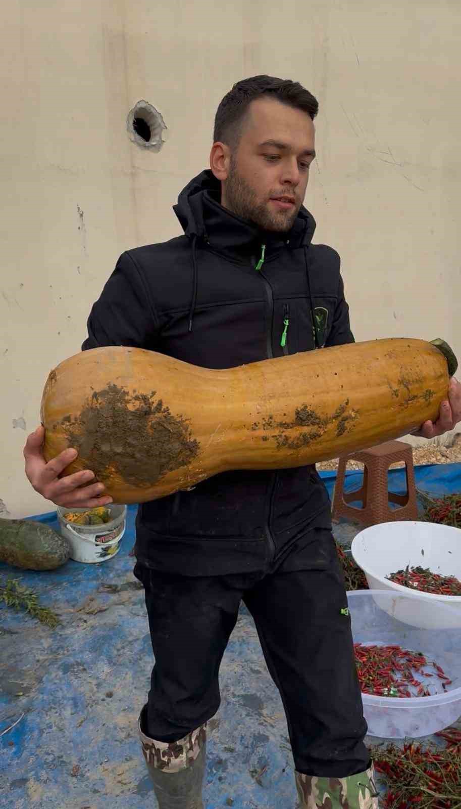 Osmangazi’de 30 kilogramlık Kıbrıs bal kabağı yetiştirildi
Osmangazi’de 30 kilogramlık Kıbrıs bal kabağı yetiştirildi