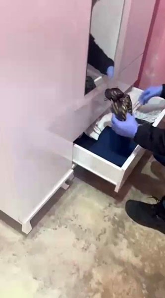 Osmangazi’de uyuşturucu operasyonu: Çok sayıda fişek ve uyuşturucu ele geçirildi
