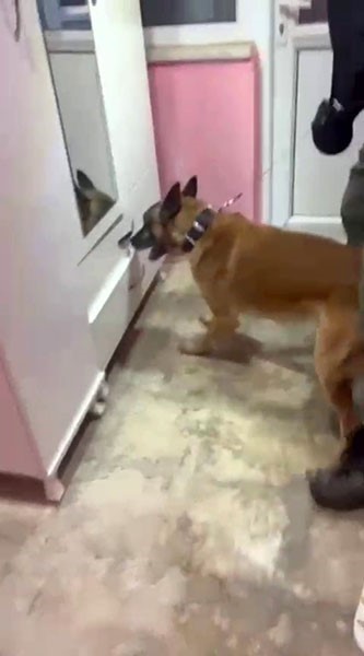 Osmangazi’de uyuşturucu operasyonu: Çok sayıda fişek ve uyuşturucu ele geçirildi
