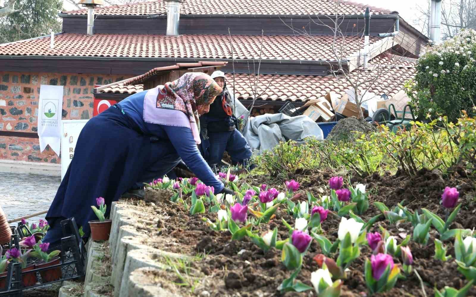 Osmangazi’nin her bir noktası çiçek açtı
