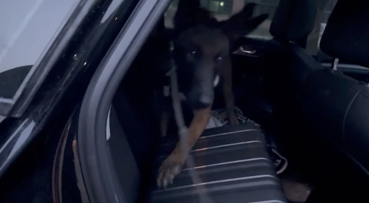 Osmaniye’de 3 araçta uyuşturucu operasyonu: 5 tutuklama
