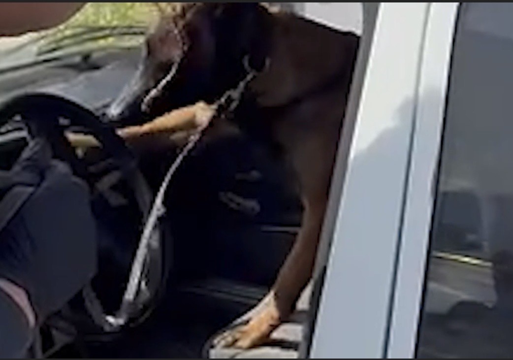 Osmaniye’de 3 araçta uyuşturucu operasyonu: 5 tutuklama
