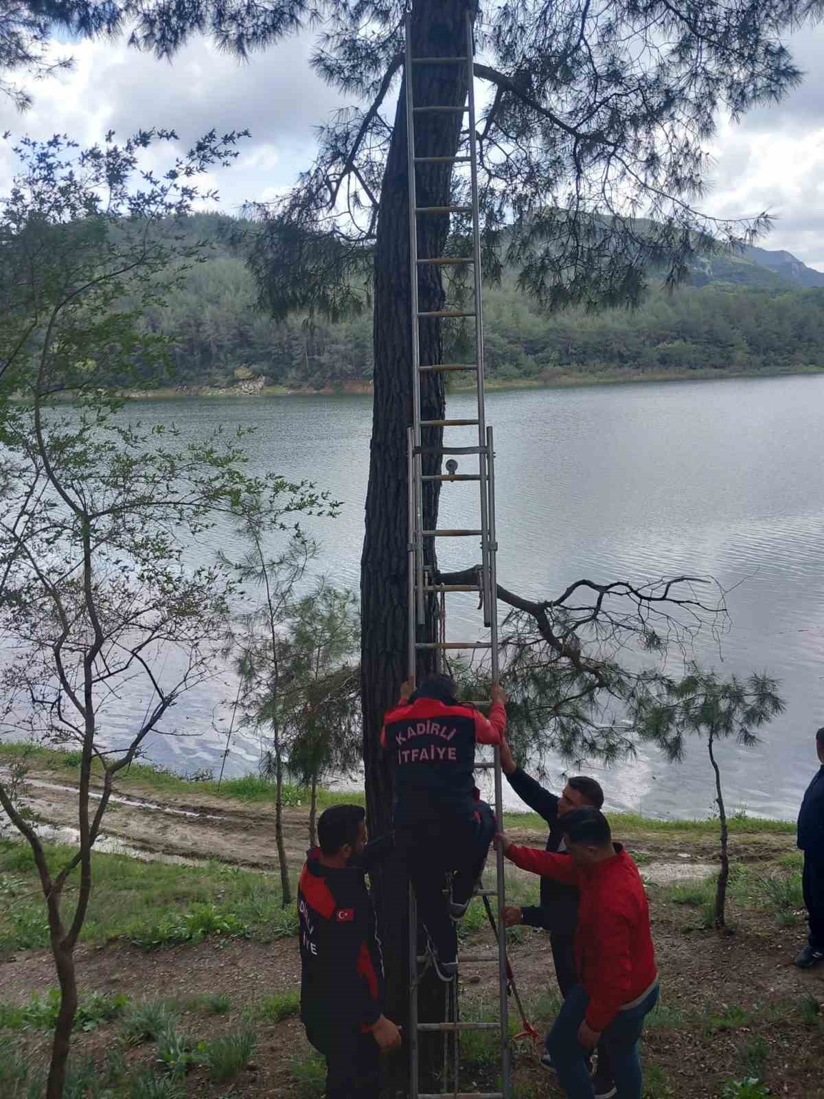 Osmaniye’de ağaca takılan kargayı itfaiye kurtardı
