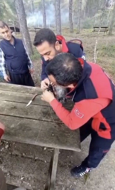 Osmaniye’de ağaca takılan kargayı itfaiye kurtardı
