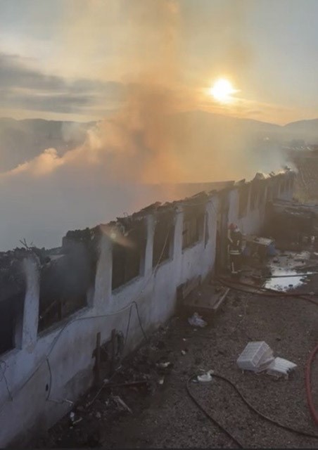 Osmaniye’de çiftlikte yangın: 8 koyun ve 120 kümes hayvanı telef oldu
