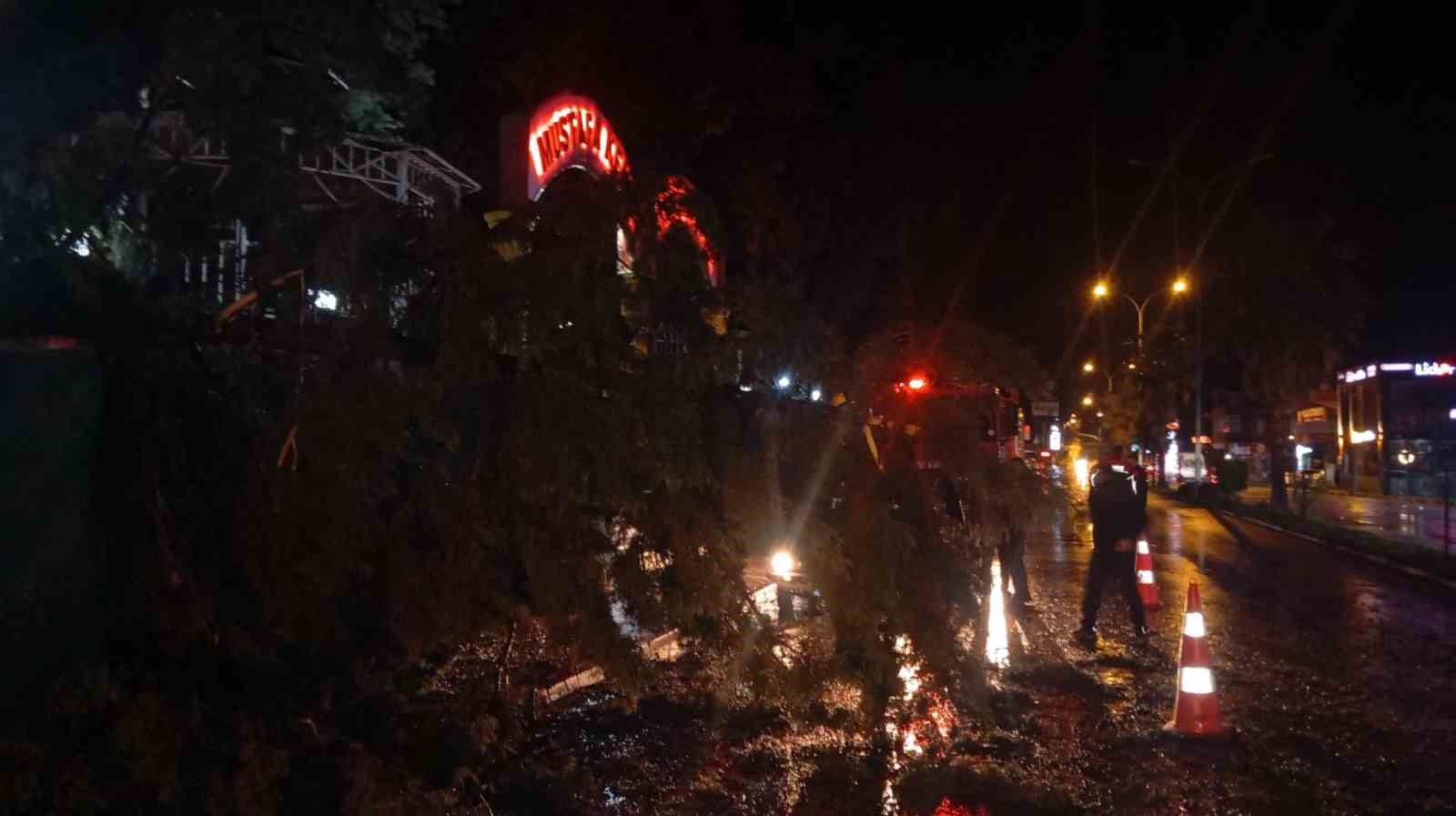 Osmaniye’de fırtına etkili oldu, devrilen ağaçlar yolları kapattı
