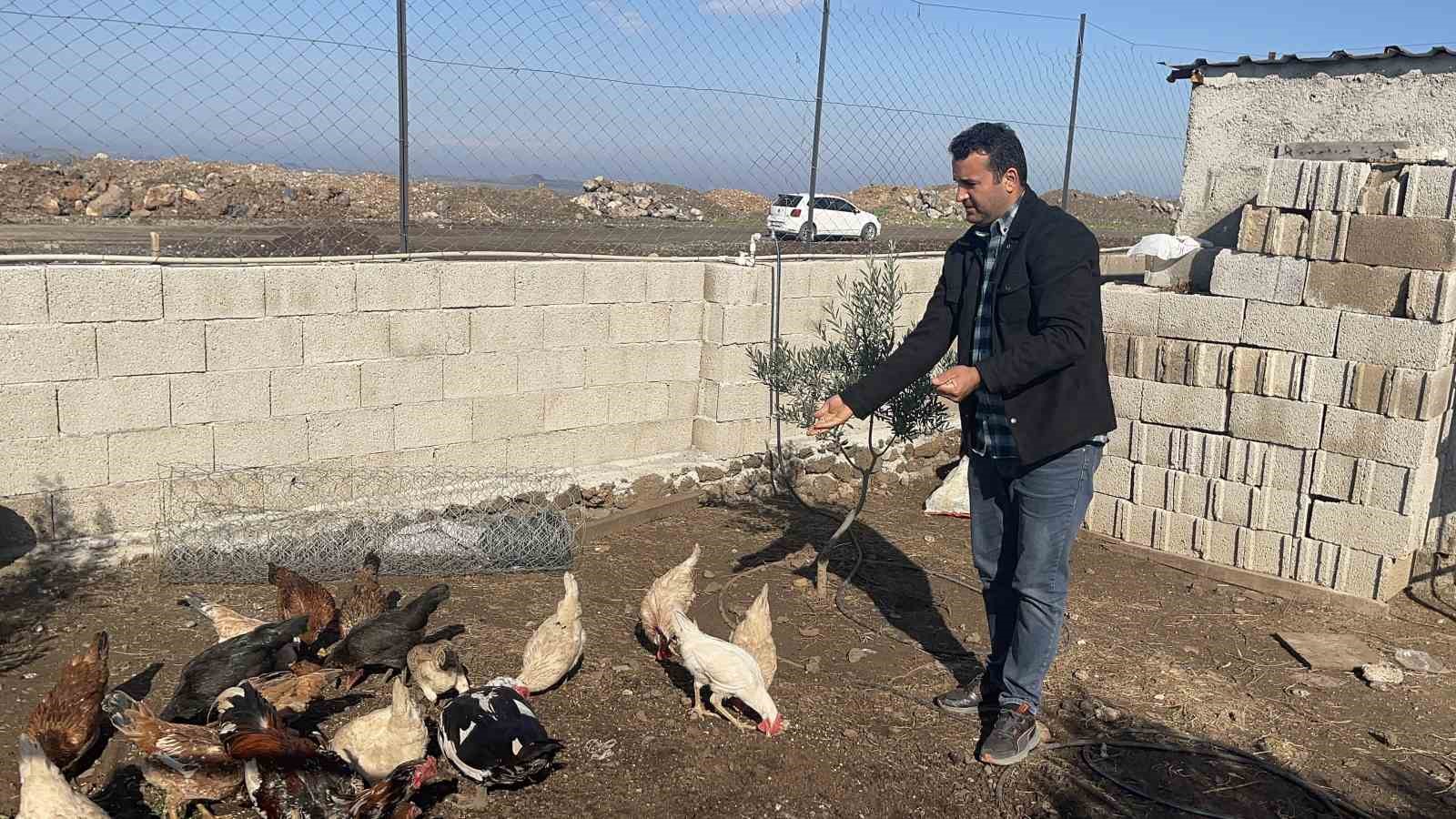 Osmaniye’de hobi bahçesine giren hırsızlar 25 güvercini çaldı
