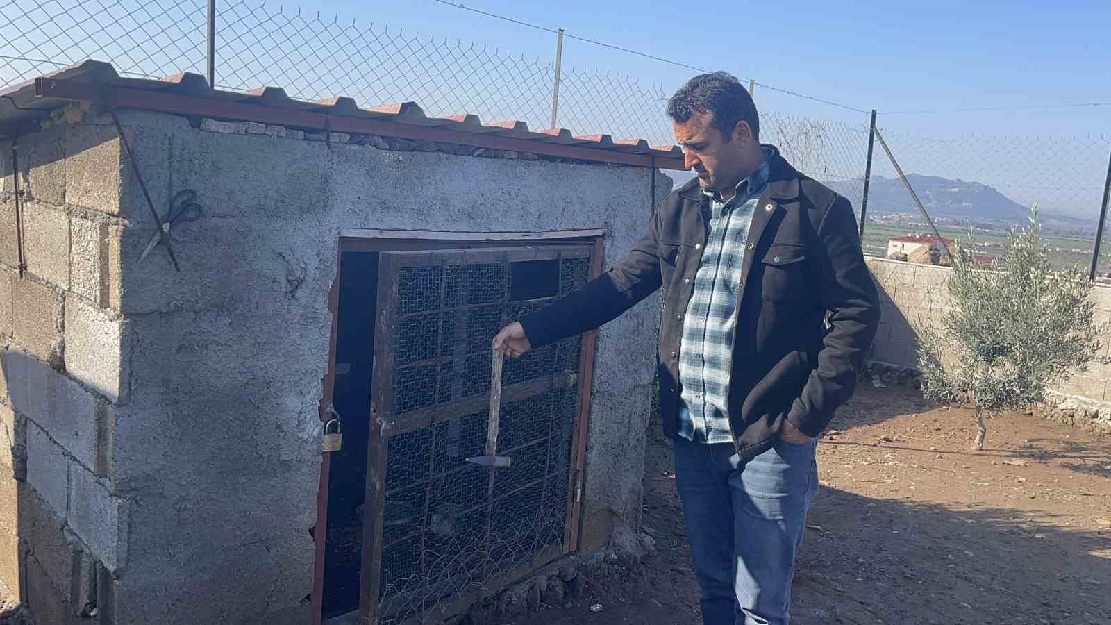 Osmaniye’de hobi bahçesine giren hırsızlar 25 güvercini çaldı
