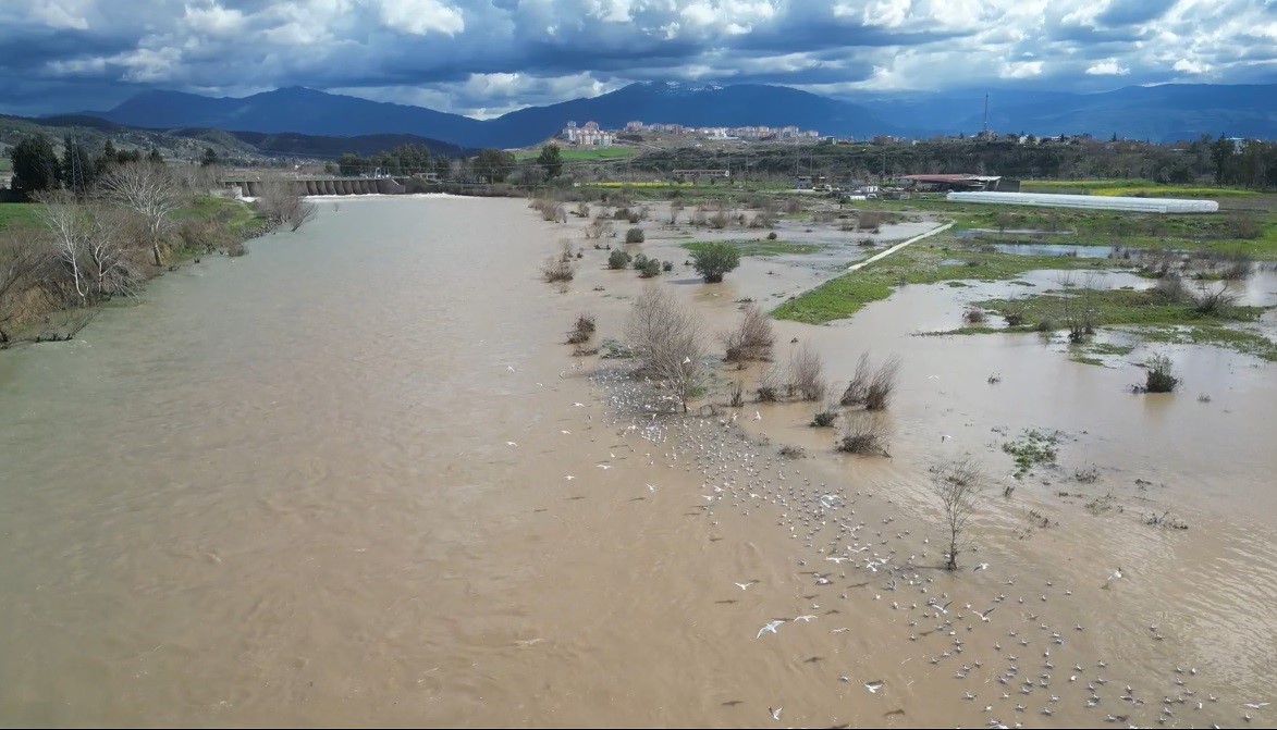 Osmaniye’de yağışlar sonrası Ceyhan nehri coştu
