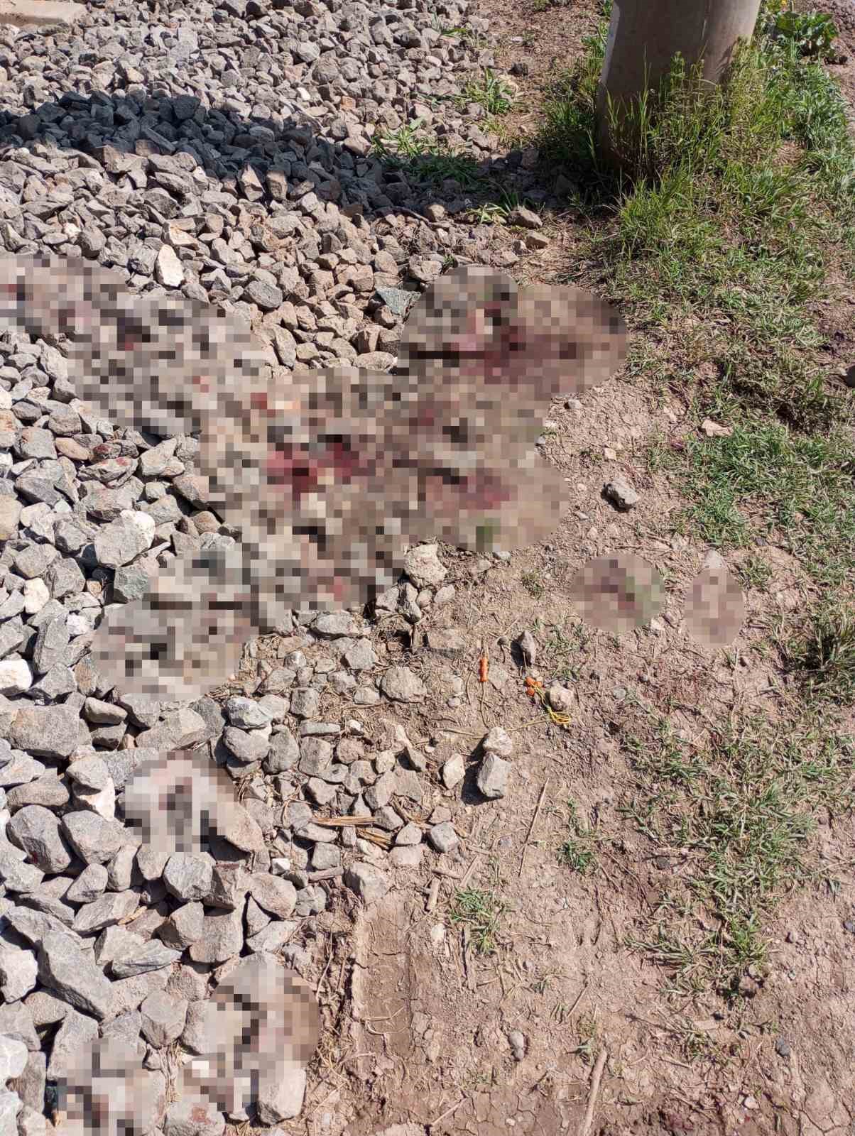 Osmaniye’de yük treninin çarptığı kişi yaralandı
