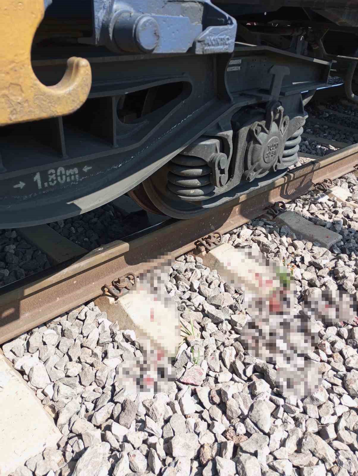 Osmaniye’de yük treninin çarptığı kişi yaralandı
