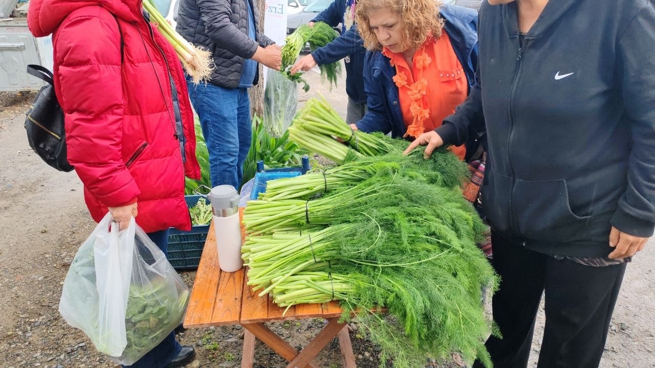 Ot festivali şiddetli yağışla yarıda kaldı
