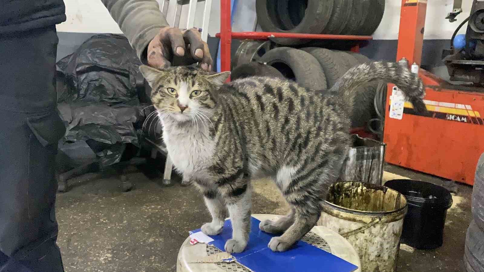 Oto tamircisinin en sadık çırağı "Şıkkıdı" oldu
