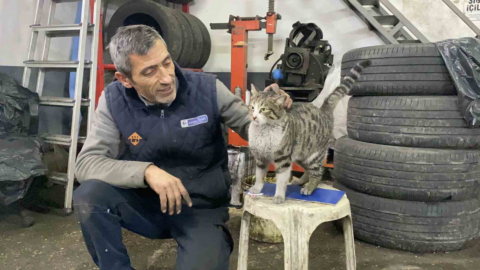 Oto tamircisinin en sadık çırağı "Şıkkıdı" oldu
