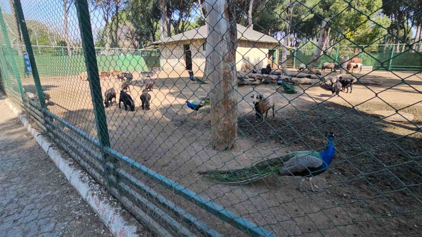 Otobüs bagajından hayvanat bahçesine
