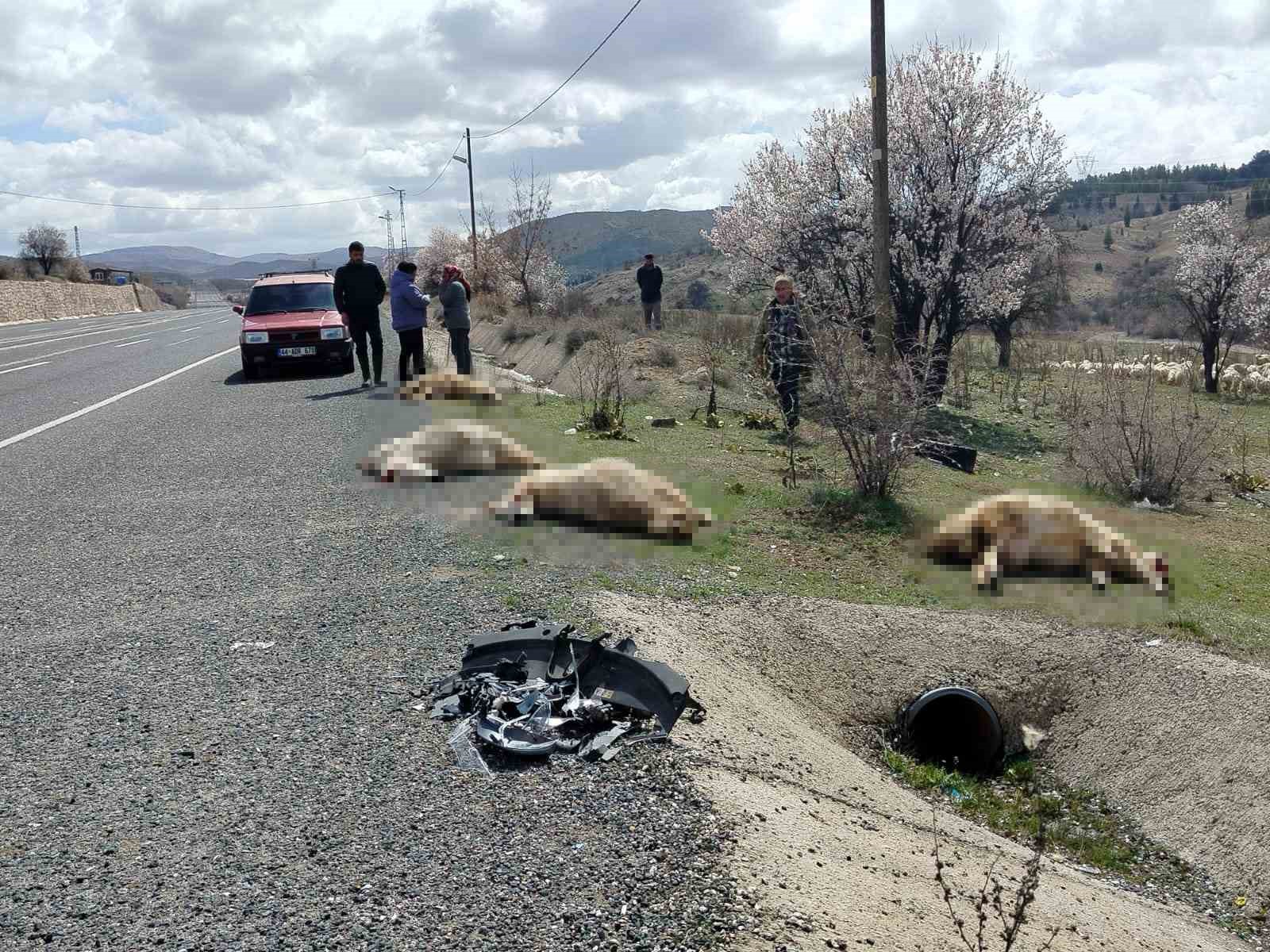Otomobil koyun sürüsüne daldı: 9 koyun telef oldu

