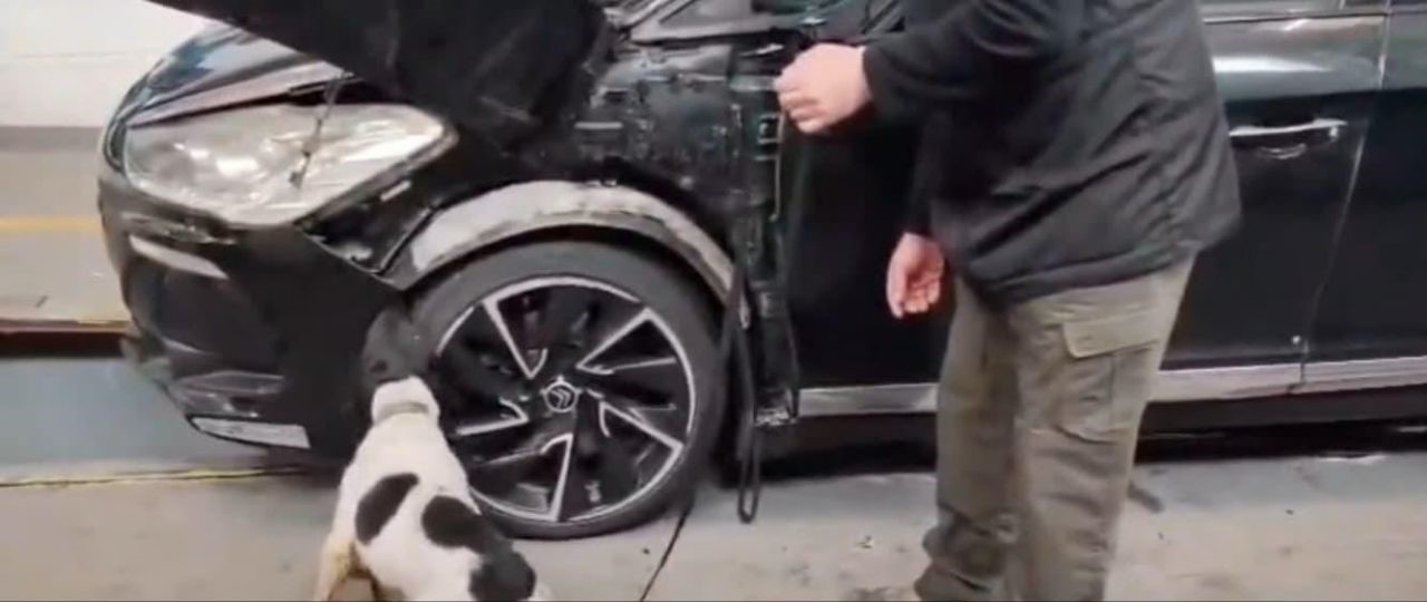 Otomobilin ön tamponunda 11 kilogram eroin ele geçirildi
