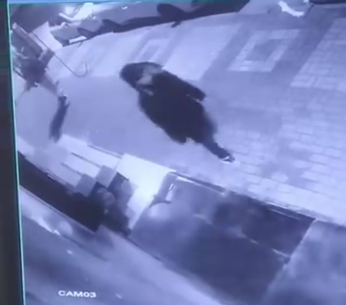 Otomobillerin aynalarını kırıp camlarını yumrukladılar, hiçbir şey olmamış gibi gittiler
