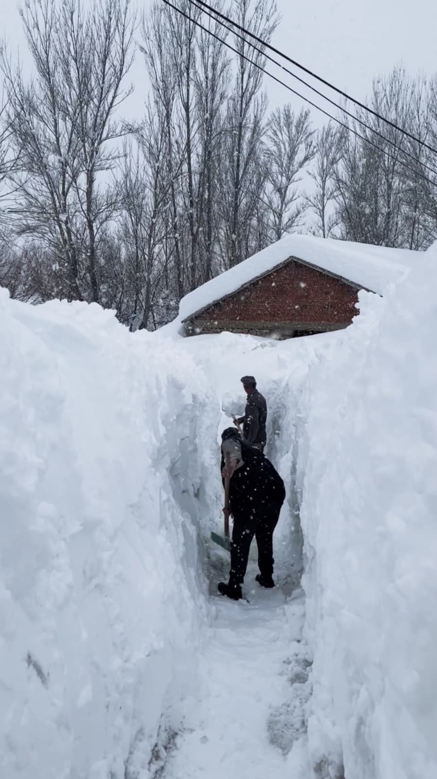 Ovacık’ta besicilerin zorlu kış mesaisi: Hayvanları suya götürmek için metrelerce kalınlıktaki karı kürekle temizlediler
