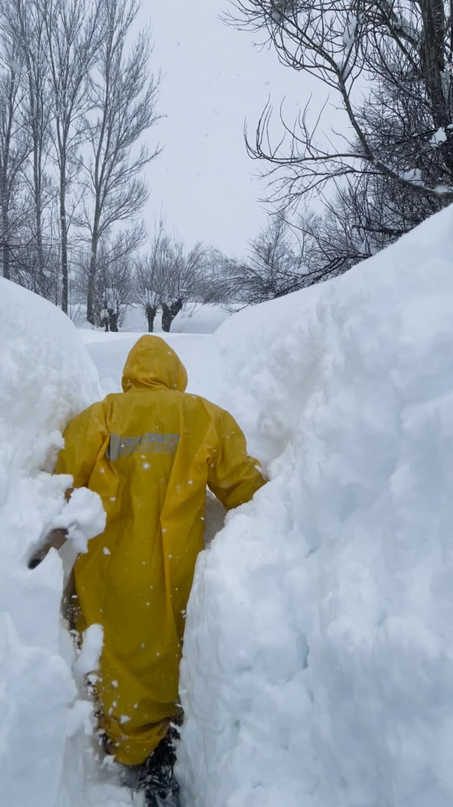 Ovacık’ta besicilerin zorlu kış mesaisi: Hayvanları suya götürmek için metrelerce kalınlıktaki karı kürekle temizlediler

