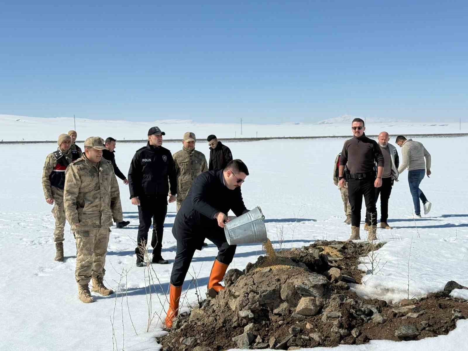 Özalp ilçesinde doğaya yem bırakıldı
